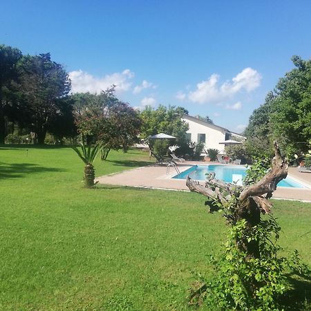 Villa Marila relax con piscina in campagna Pietramelara Esterno foto