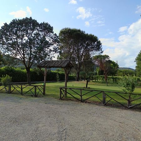 Villa Marila relax con piscina in campagna Pietramelara Esterno foto