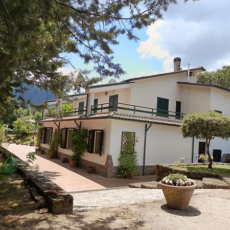 Villa Marila relax con piscina in campagna Pietramelara Esterno foto