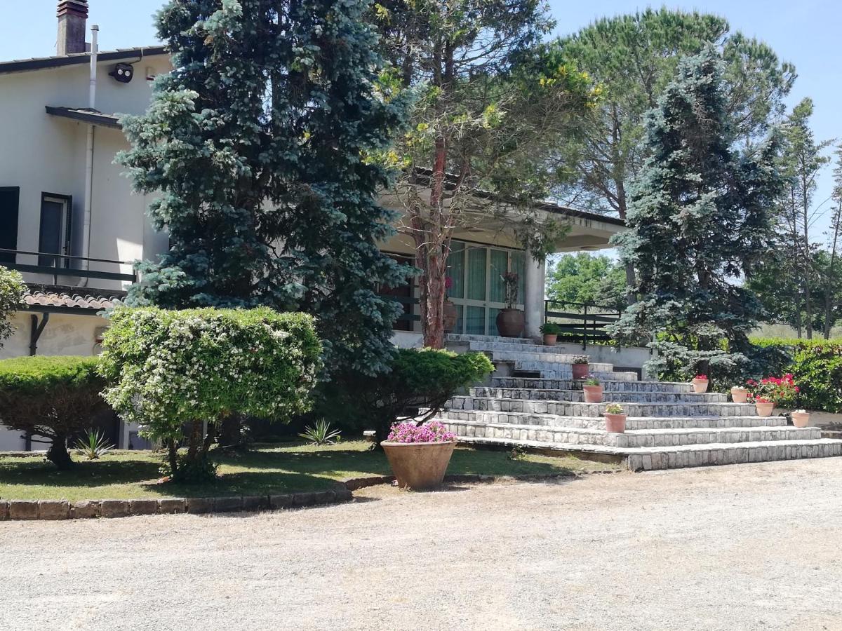 Villa Marila relax con piscina in campagna Pietramelara Esterno foto