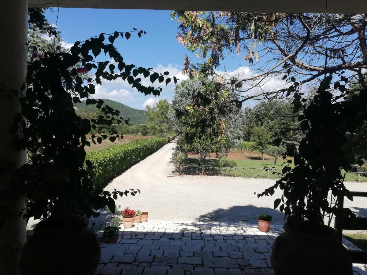 Villa Marila relax con piscina in campagna Pietramelara Esterno foto