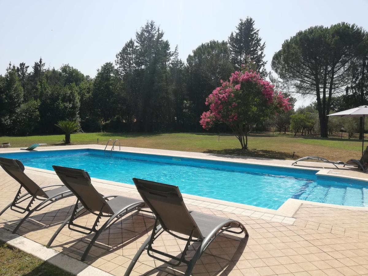 Villa Marila relax con piscina in campagna Pietramelara Esterno foto