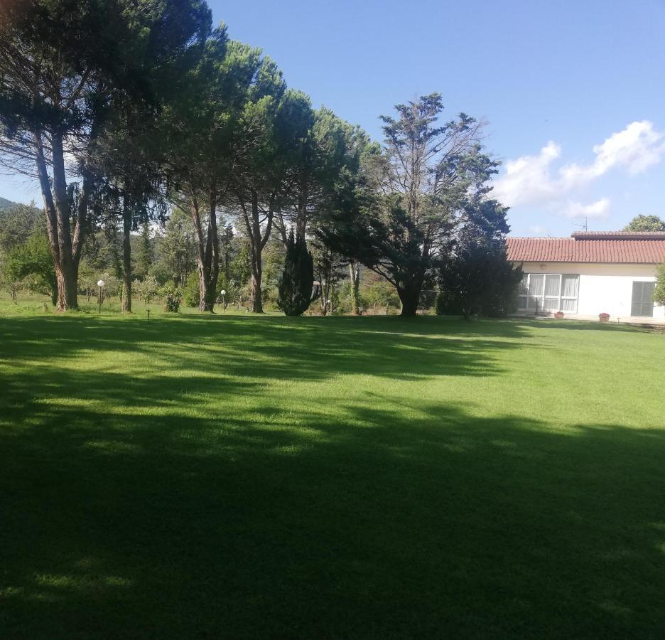 Villa Marila relax con piscina in campagna Pietramelara Esterno foto