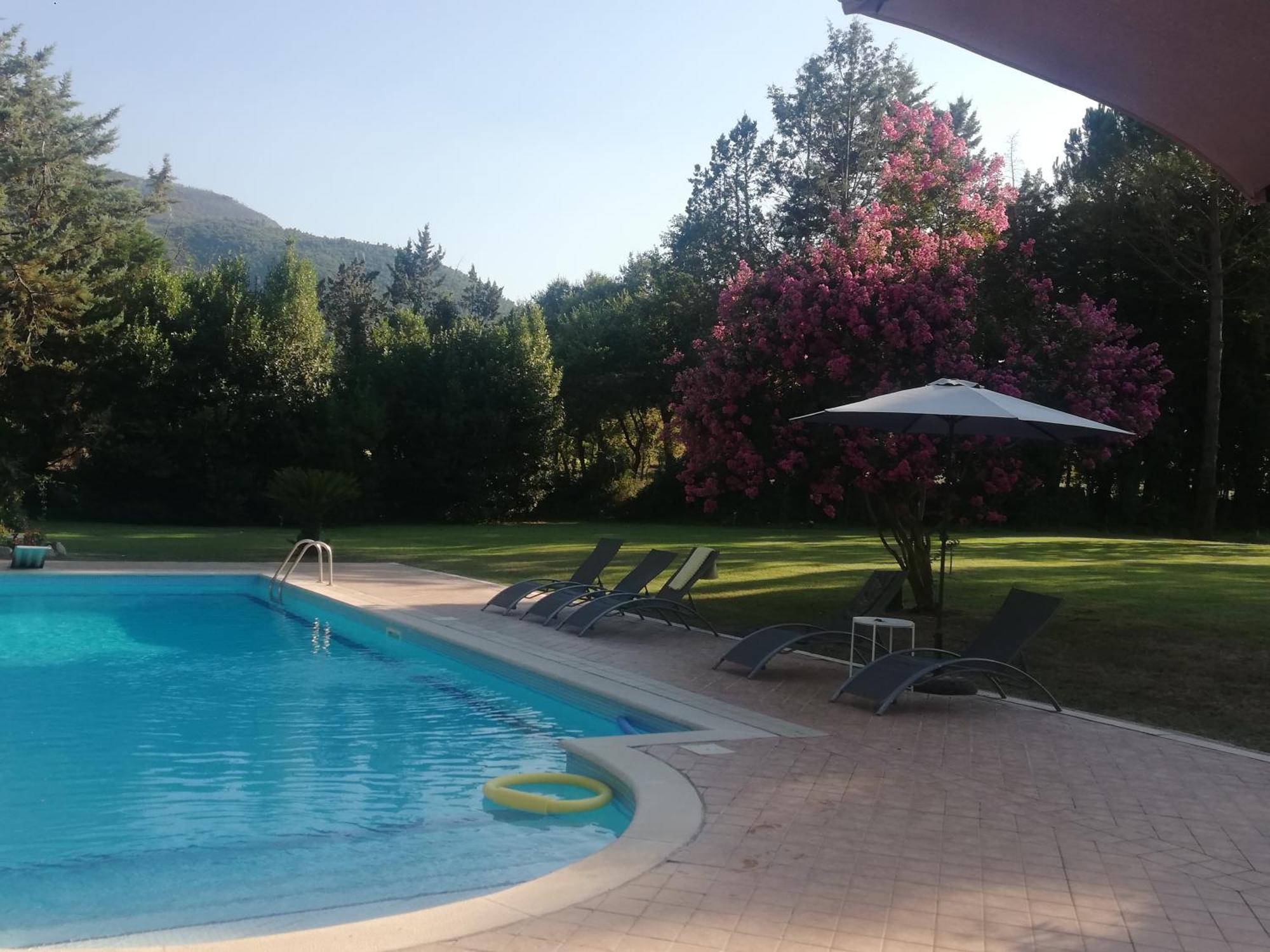 Villa Marila relax con piscina in campagna Pietramelara Esterno foto