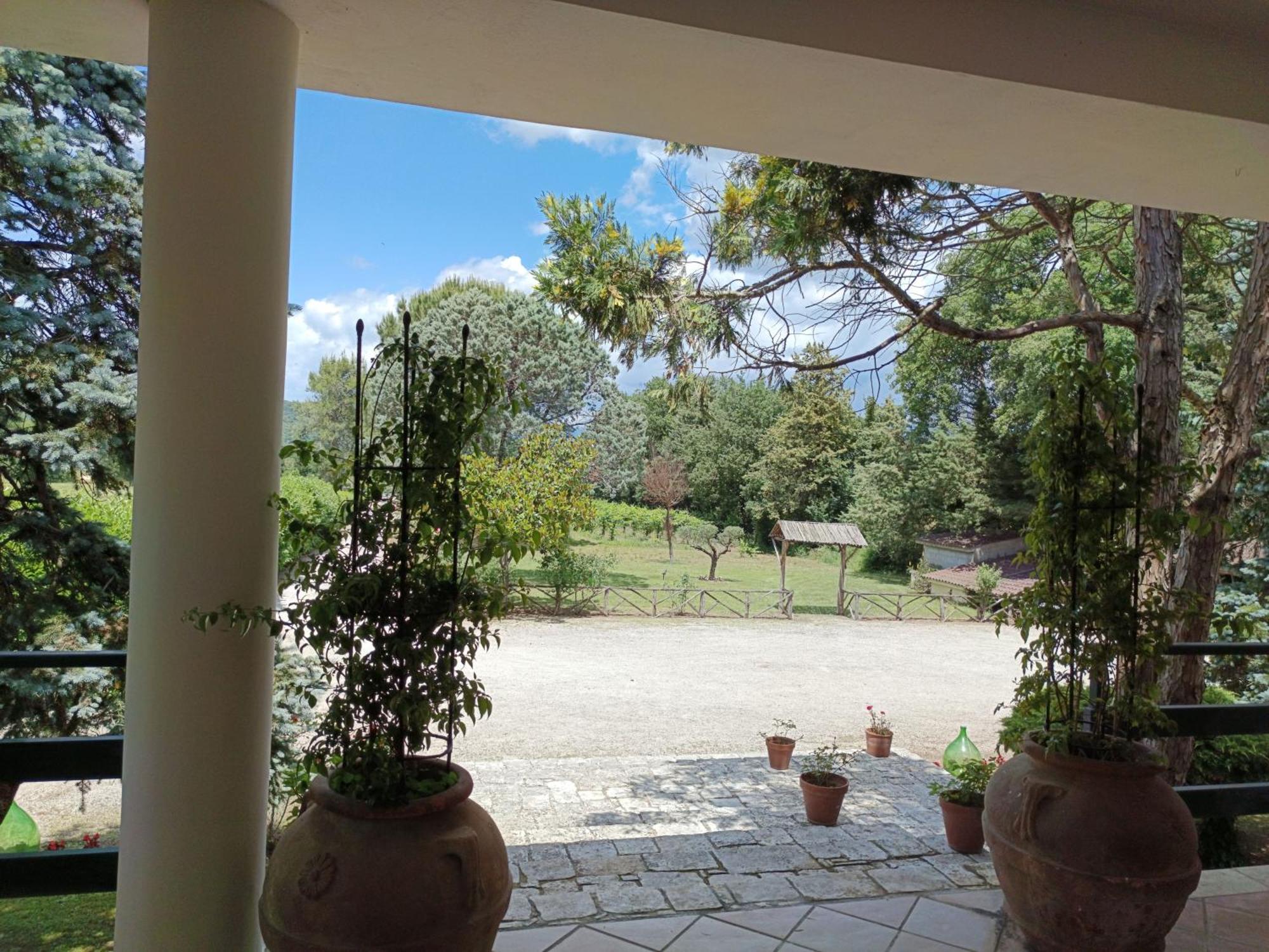 Villa Marila relax con piscina in campagna Pietramelara Esterno foto