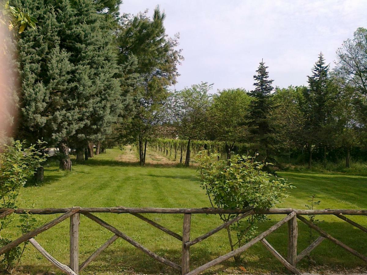 Villa Marila relax con piscina in campagna Pietramelara Esterno foto